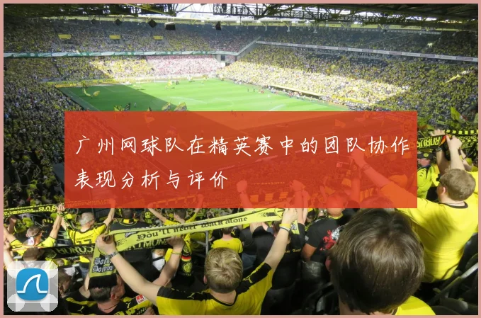广州网球队在精英赛中的团队协作表现分析与评价