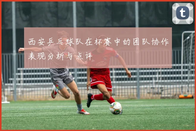 西安乒乓球队在杯赛中的团队协作表现分析与点评