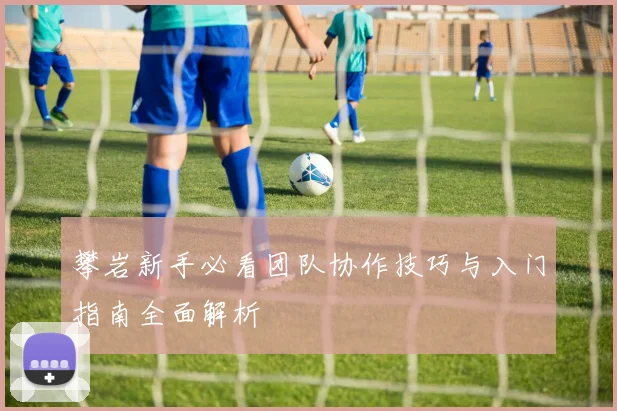 攀岩新手必看团队协作技巧与入门指南全面解析