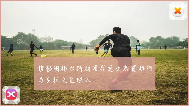 穆勒胡梅尔斯财团有意收购葡超阿马多拉之星球队